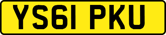 YS61PKU