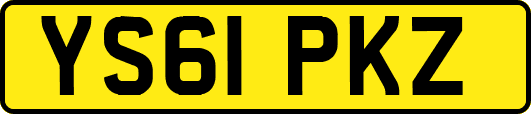 YS61PKZ