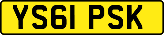 YS61PSK