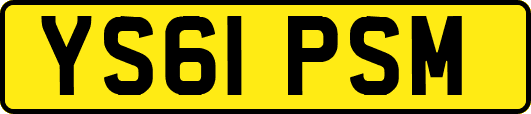YS61PSM