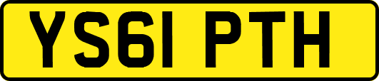 YS61PTH