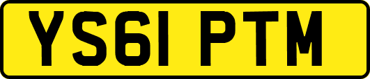 YS61PTM