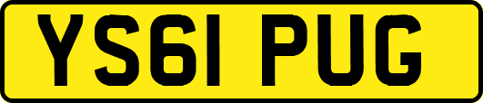 YS61PUG