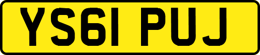 YS61PUJ