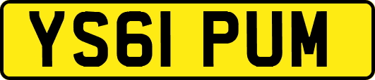 YS61PUM