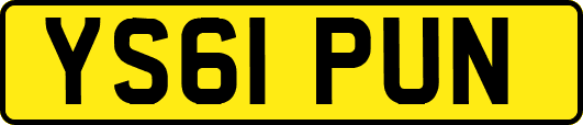 YS61PUN