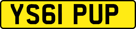 YS61PUP
