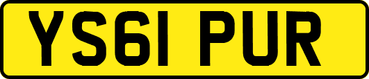 YS61PUR