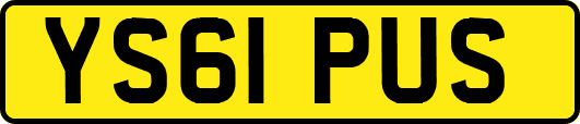 YS61PUS