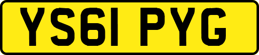 YS61PYG