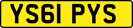 YS61PYS