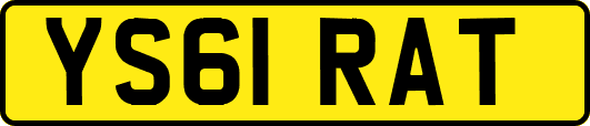 YS61RAT