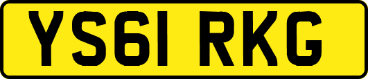 YS61RKG