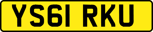 YS61RKU