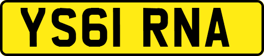 YS61RNA