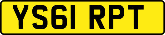YS61RPT