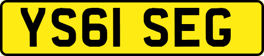 YS61SEG
