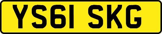 YS61SKG