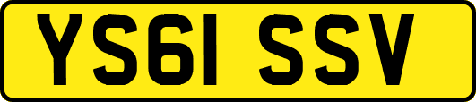 YS61SSV