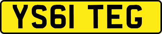 YS61TEG