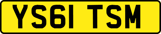 YS61TSM