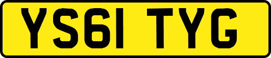 YS61TYG