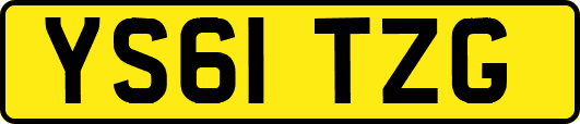 YS61TZG