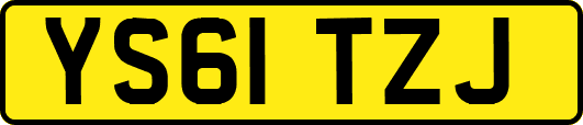 YS61TZJ