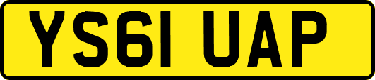 YS61UAP