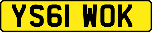 YS61WOK