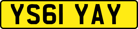YS61YAY