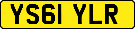YS61YLR