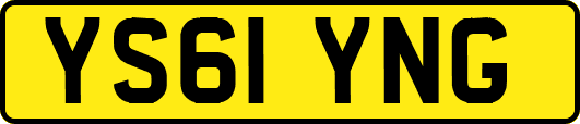 YS61YNG