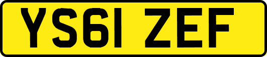 YS61ZEF