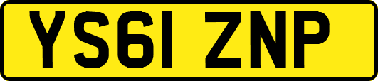 YS61ZNP