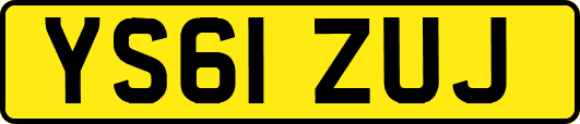 YS61ZUJ