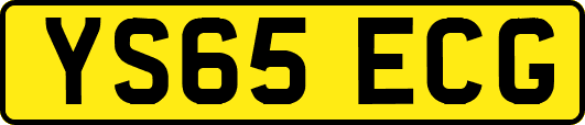 YS65ECG