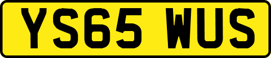 YS65WUS