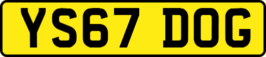YS67DOG