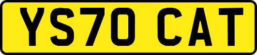 YS70CAT