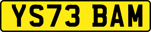 YS73BAM