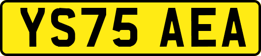 YS75AEA