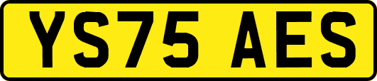 YS75AES