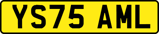 YS75AML