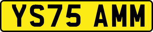 YS75AMM