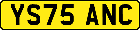YS75ANC