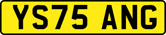 YS75ANG