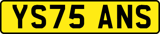 YS75ANS