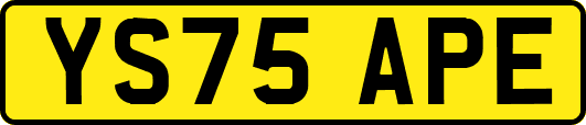 YS75APE