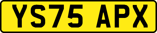 YS75APX